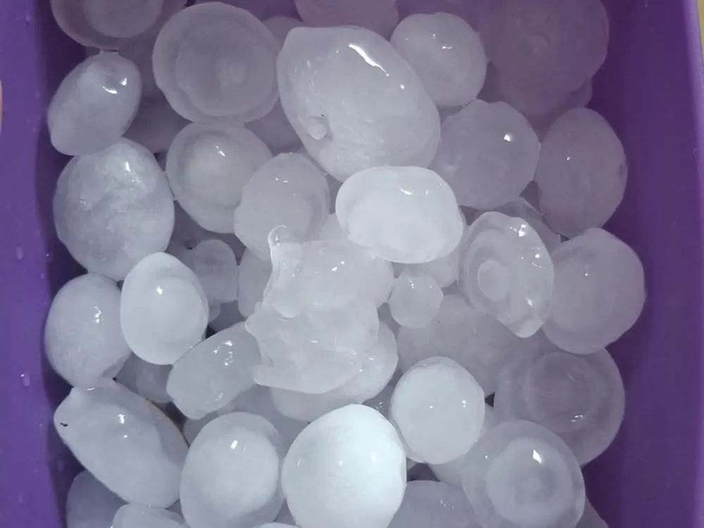 Foto: Divulga&ccedil;&atilde;o