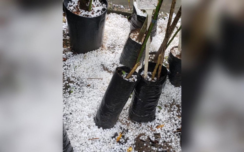 Moradores de Blumenau registram queda de granizo em três bairros