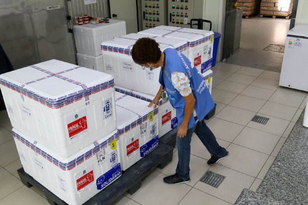 Santa Catarina recebe nesta quarta mais 86,4 mil doses da vacina Coronavac