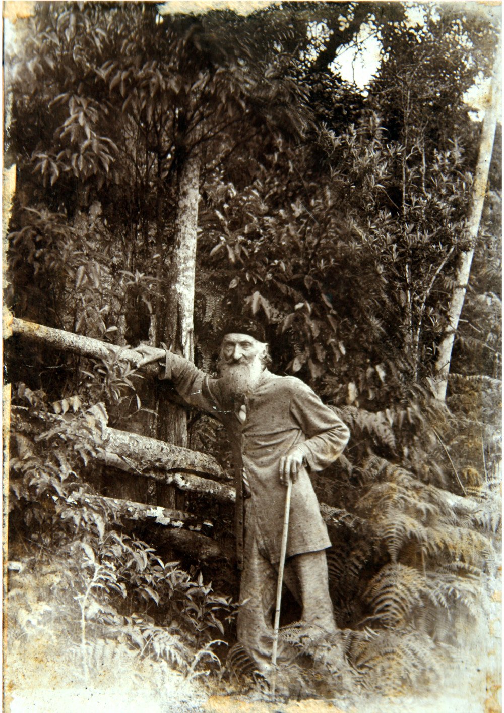 História e homenagem: Galeria de Céu Aberto celebra 200 anos de Fritz Müller