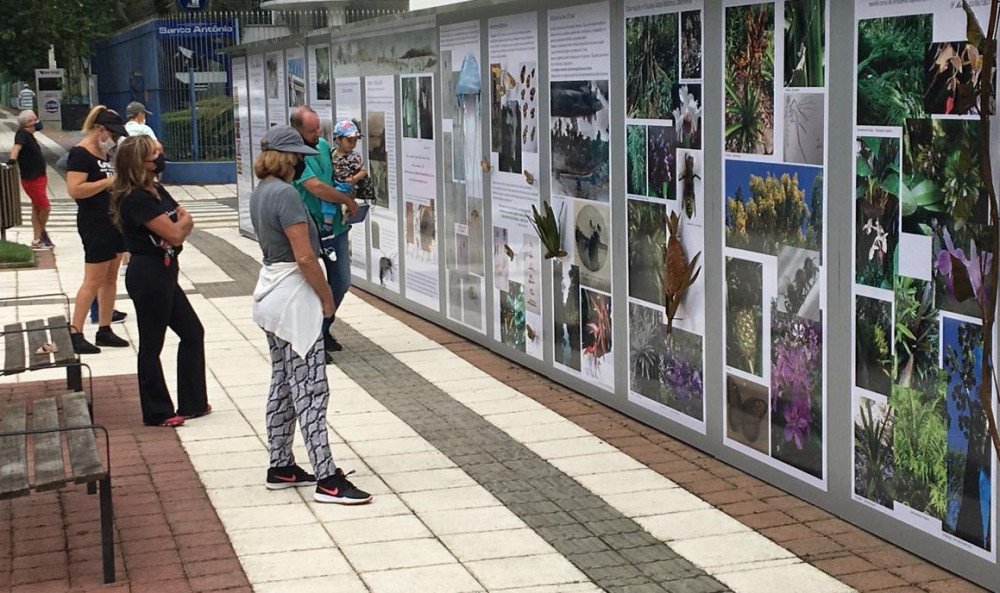 Exposição ao ar livre em Blumenau conta a história de Fritz Müller