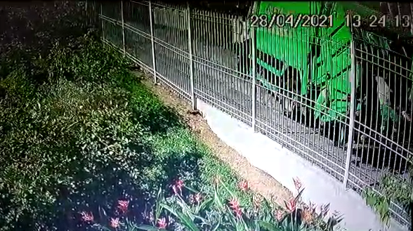 Vídeo: imagens mostram acidente envolvendo caminhão de lixo