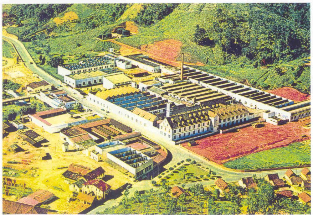 História: 1974, o ano que o Reino mudou, por André Bonomini