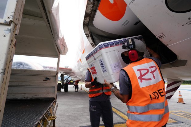 Covid-19: Santa Catarina recebe 29,6 mil doses da Coronavac neste sábado