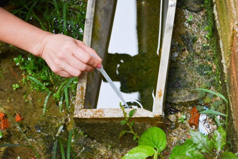 Vigilância Epidemiológica alerta sobre aumento de casos de dengue em SC