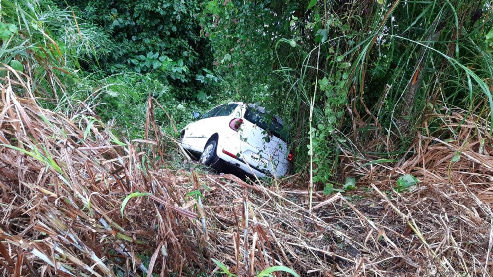 Vídeo: carro cai em ribanceira às margens do Rio Itajaí-Açu em Blumenau