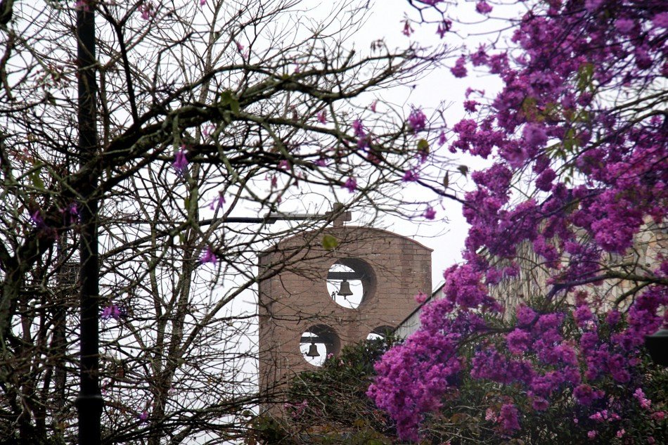 Ato simbólico presta homenagem às 500 vítimas do coronavírus nesta quinta