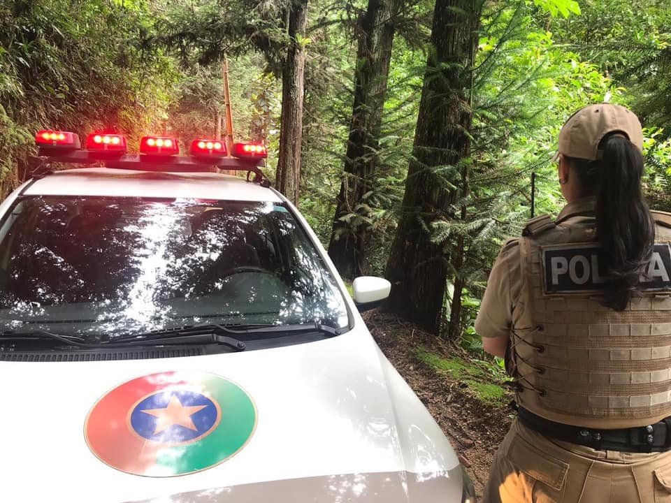 Botijões de gás são furtados de escola em Indaial