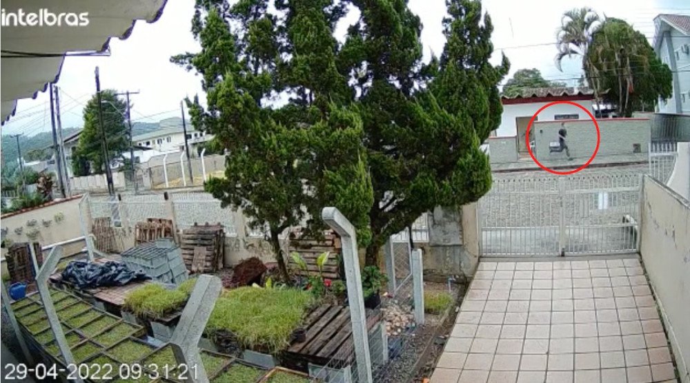 Foto: Reprodução