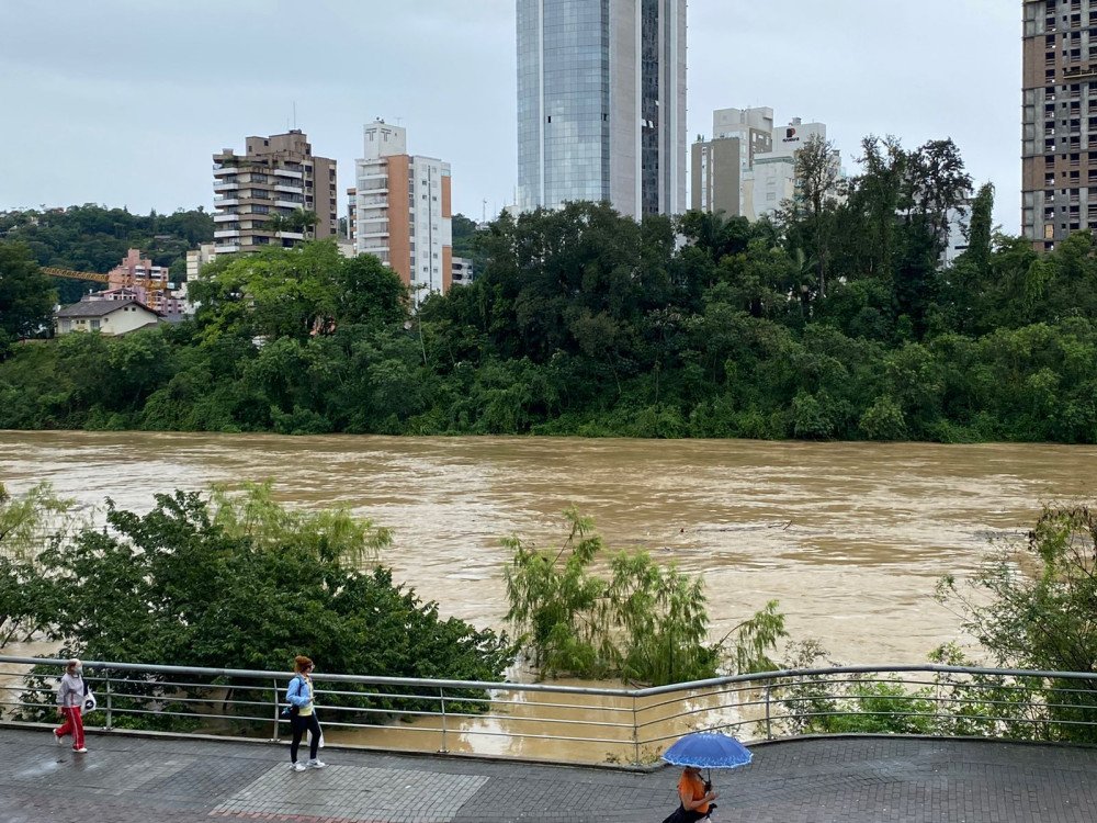 Foto: Luana de Oliveira / Portal Alexandre José