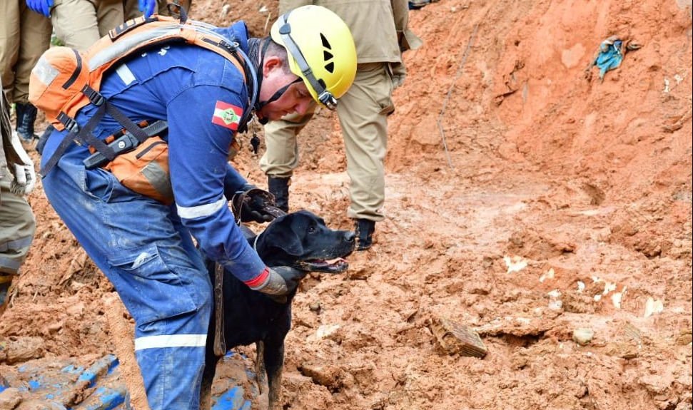 Foto: Divulgação / Corpo de Bombeiros