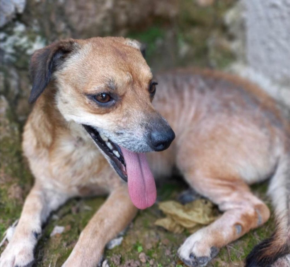 Foto: Divulgação/ Prefeitura de Gaspar 