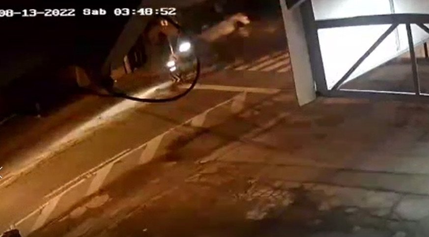 Trânsito: os motoristas, a velocidade e as ilhas de segurança, por Márcia Pontes