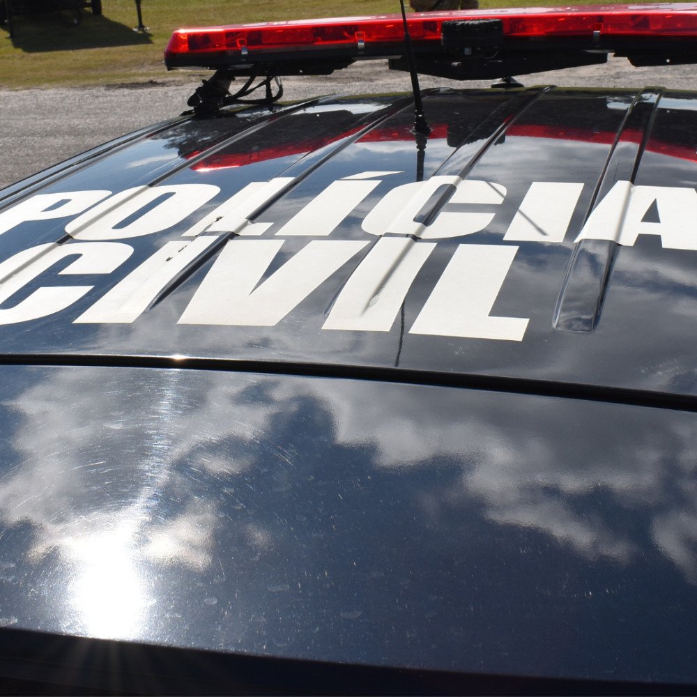 Foto: Divulgação / Polícia Civil