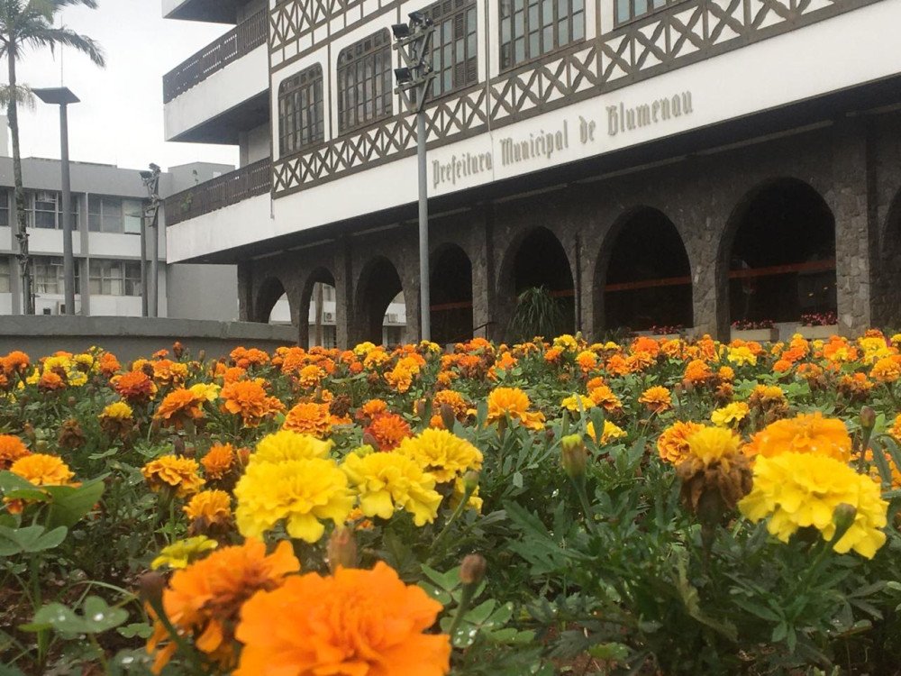 Foto: Marcos Fernandes / Portal Alexandre José