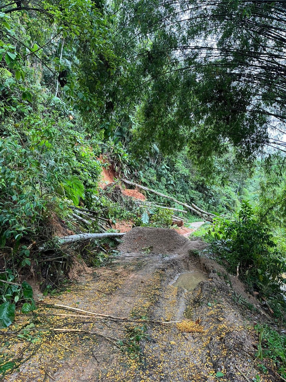 Chuva: Tendência é de retorno à normalidade no Vale do Itajaí