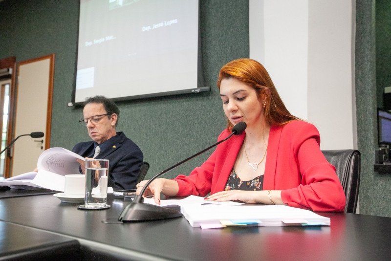 Santa Catarina: CPI do Aborto aprova relatório final