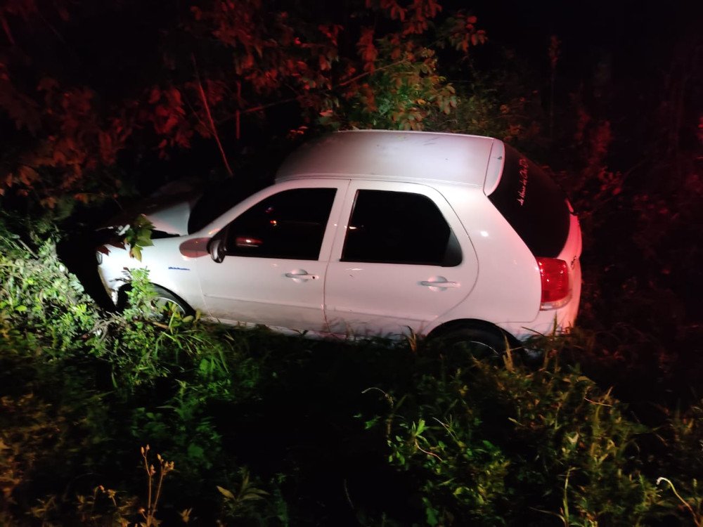 Motorista bêbada sai da pista e bate em árvore na BR-470