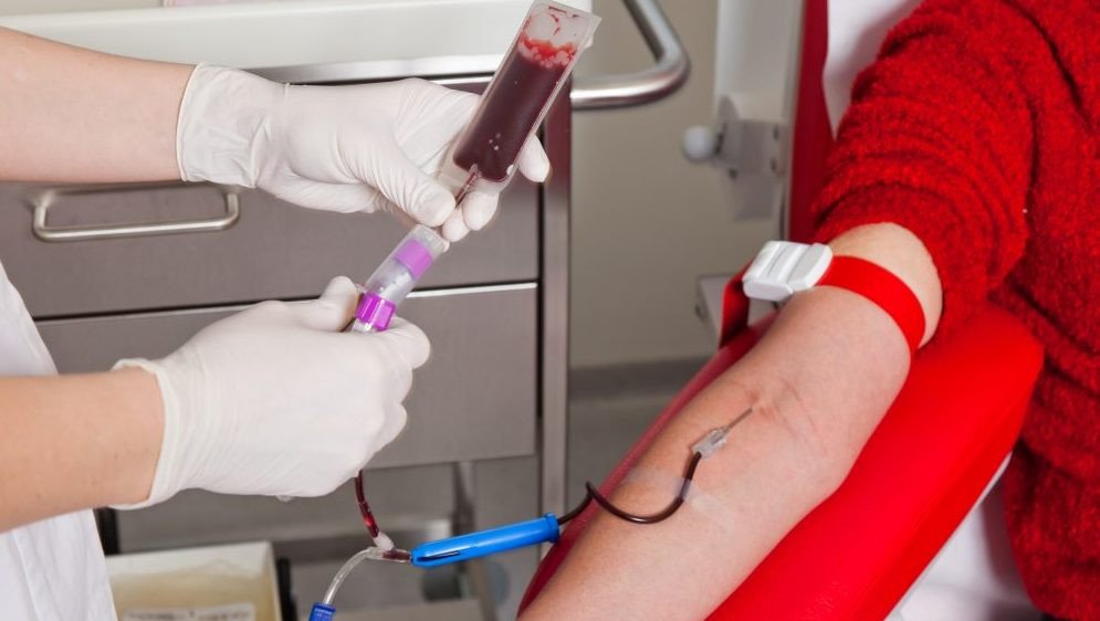 Timbó e Hemosc fecham parceria para doação de sangue