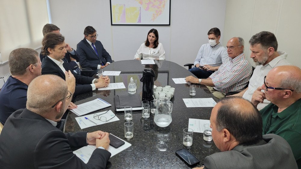 Conselho de entidades médicas apresenta pautas da categoria para a Saúde