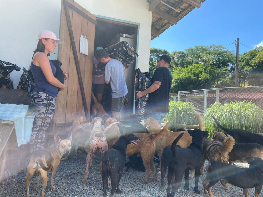 Polícia Civil de Pomerode arrecada 2,5 toneladas de ração para o Sítio Dona Lúcia
