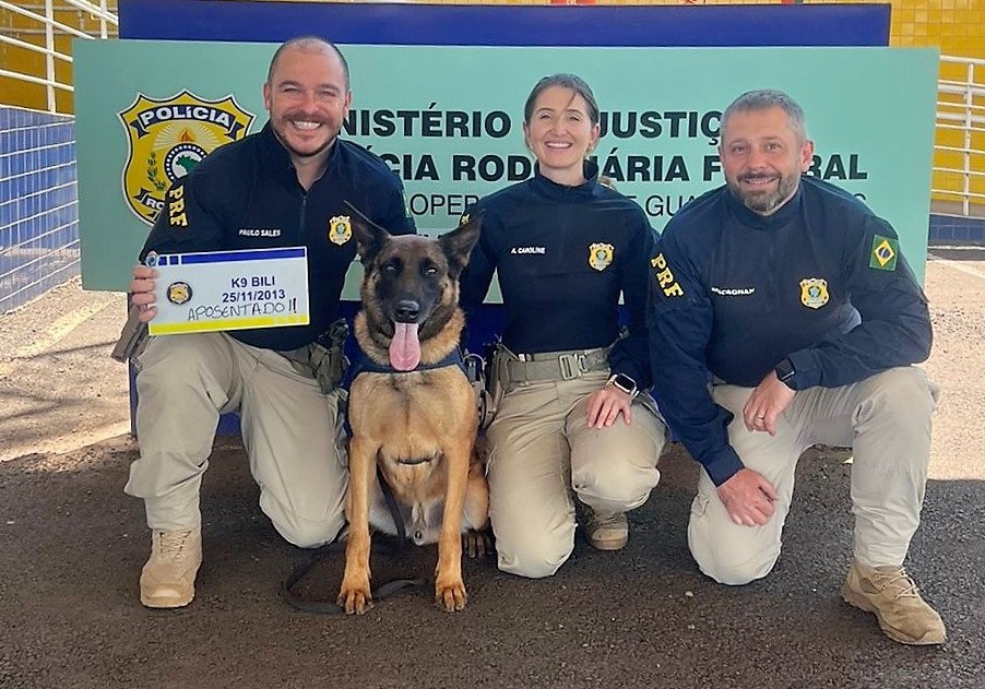 Vídeo: após nove anos de serviços, cão farejador se aposenta da PRF em SC