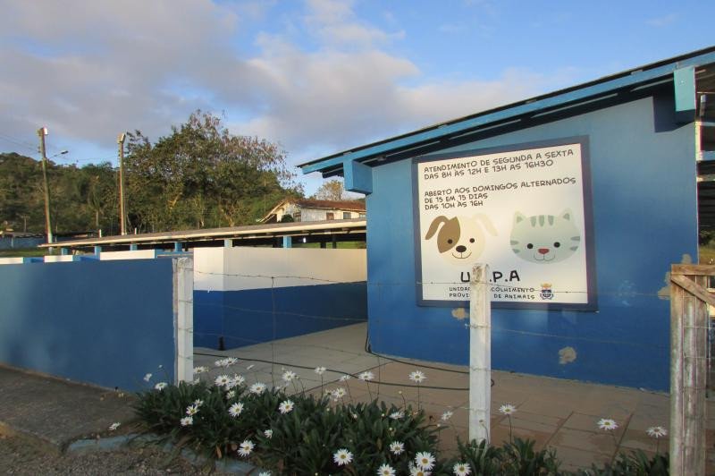 Justiça afasta veterinários suspeitos de maus-tratos a animais em abrigo de Itajaí