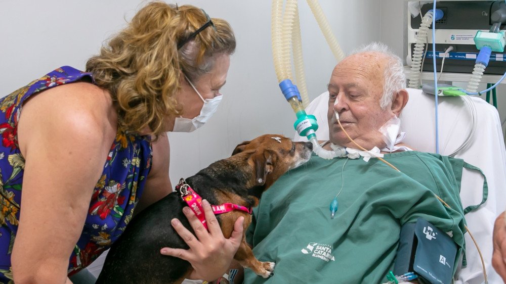 Visita de cachorrinha no hospital emociona paciente e equipe em Blumenau