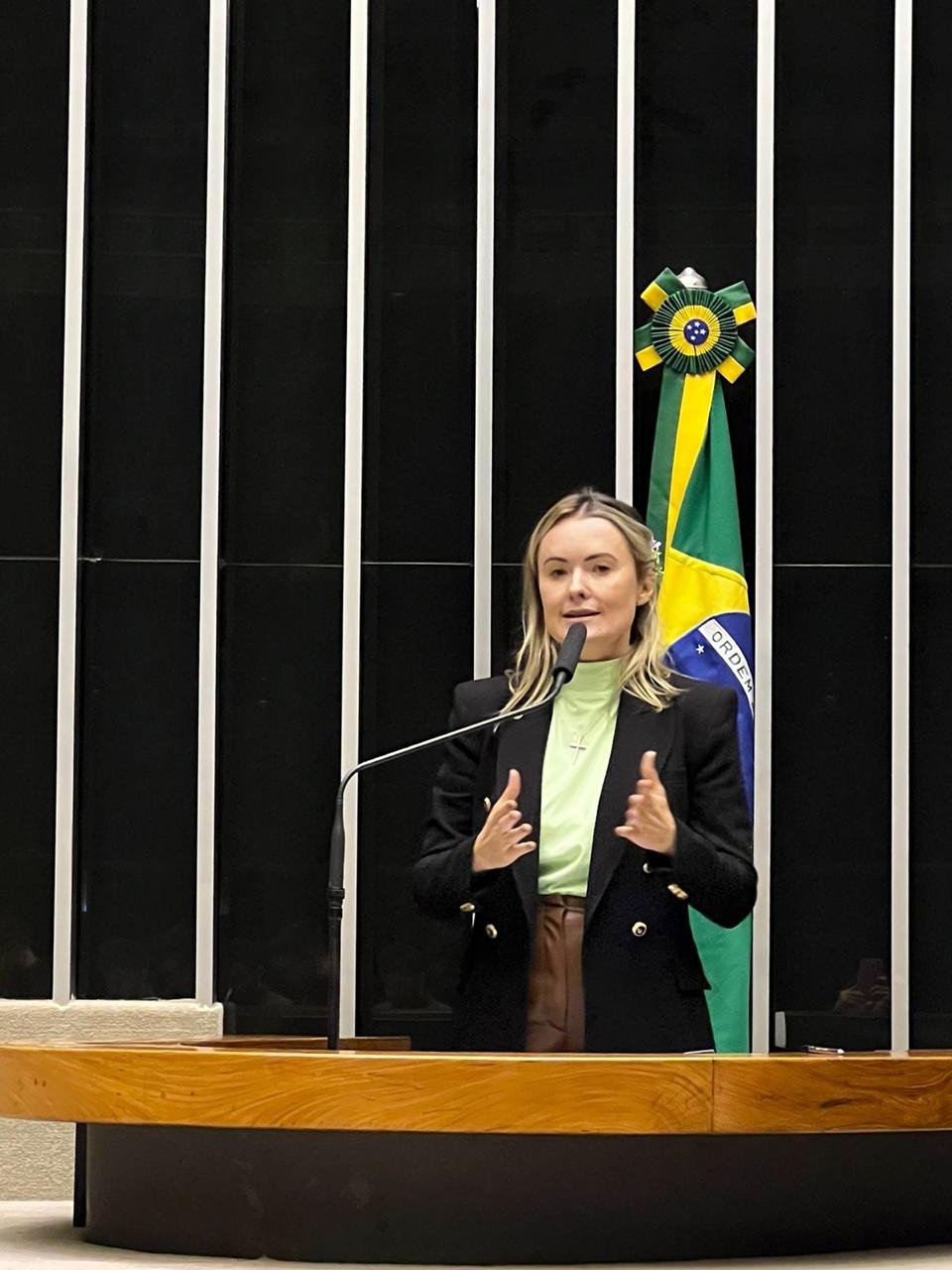 Deputada catarinense faz requerimento que pede suspensão do recadastramento de armas
