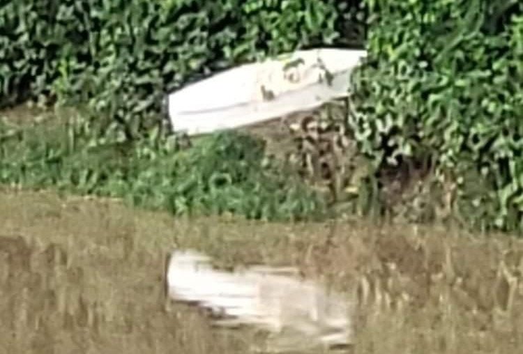 Canoa deixada às margens de rio é confundida com caixão e assusta moradores em Blumenau