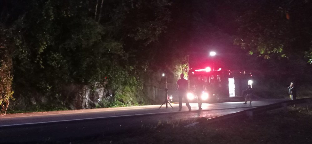 Árvore cai e bloqueia trecho da BR-470 durante a madrugada