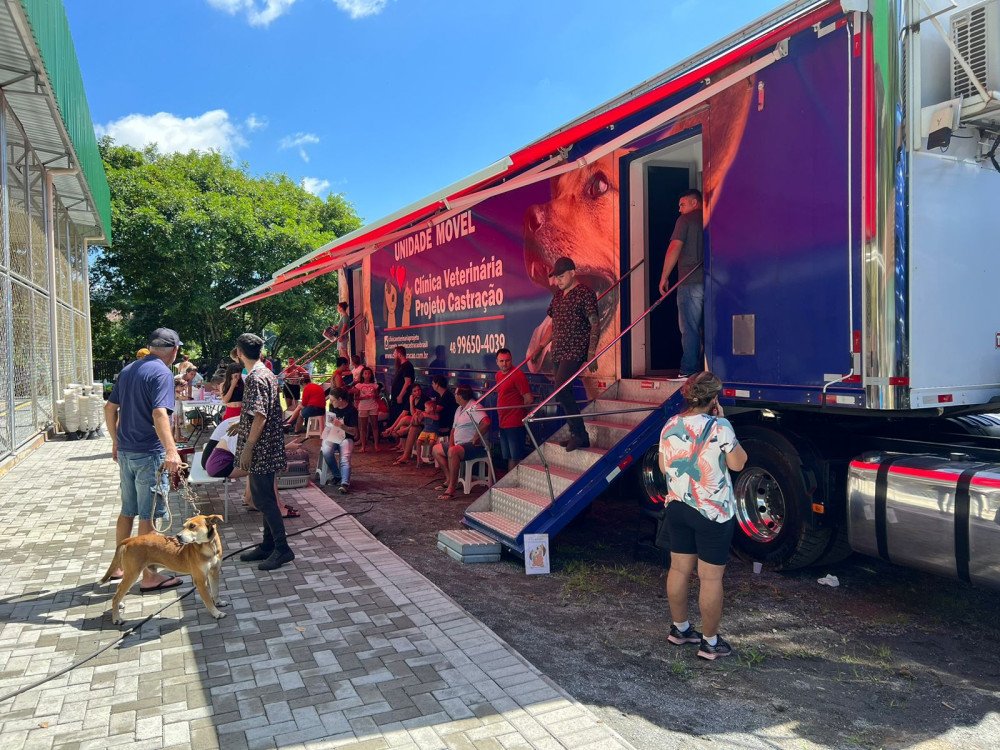 Indaial fará 2ª edição do programa de castração gratuita de animais em março
