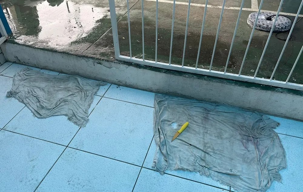 Adolescente de 14 anos é esfaqueado por colega de escola em Itapema; suspeito foi apreendido