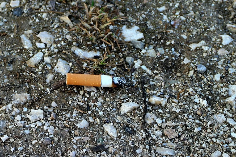 Homem que cochilou com cigarro na mão e causou incêndio vai indenizar vizinha em Brusque