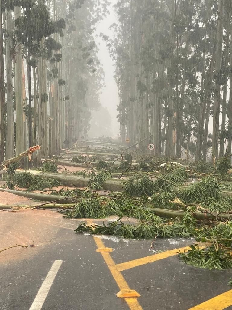 São João do Itaperiú decreta estado de emergência