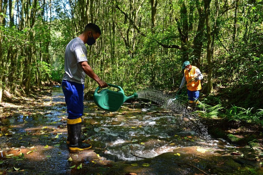 Larvicida reduz proliferação de borrachudos e melhora qualidade de vida de moradores em Gaspar