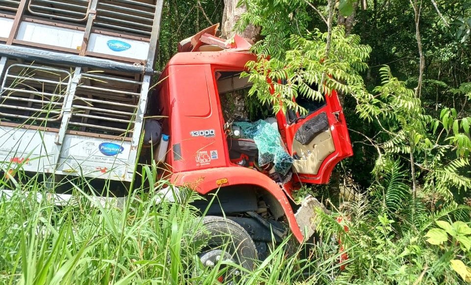 Motorista fica preso às ferragens após caminhão bater contra árvore no Alto Vale