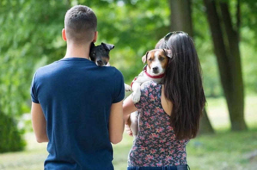 Justiça vai decidir se discussão sobre pensão de pets pode ser julgada em Vara da Família