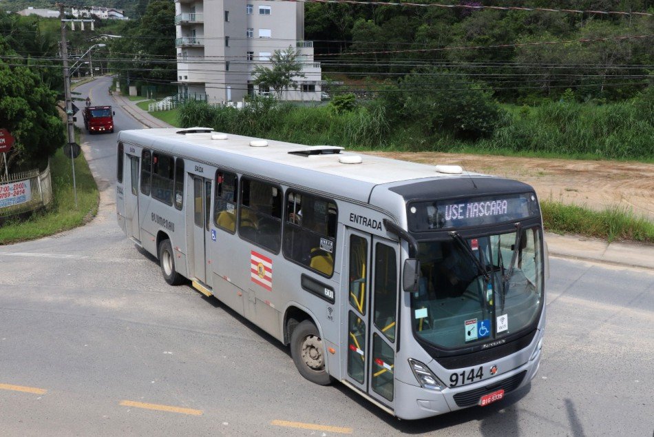Blumenau: Queda de árvore altera rota de linha do transporte público