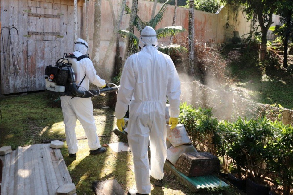 Dengue: Fumacê será feito em bairro de Blumenau nesta quinta