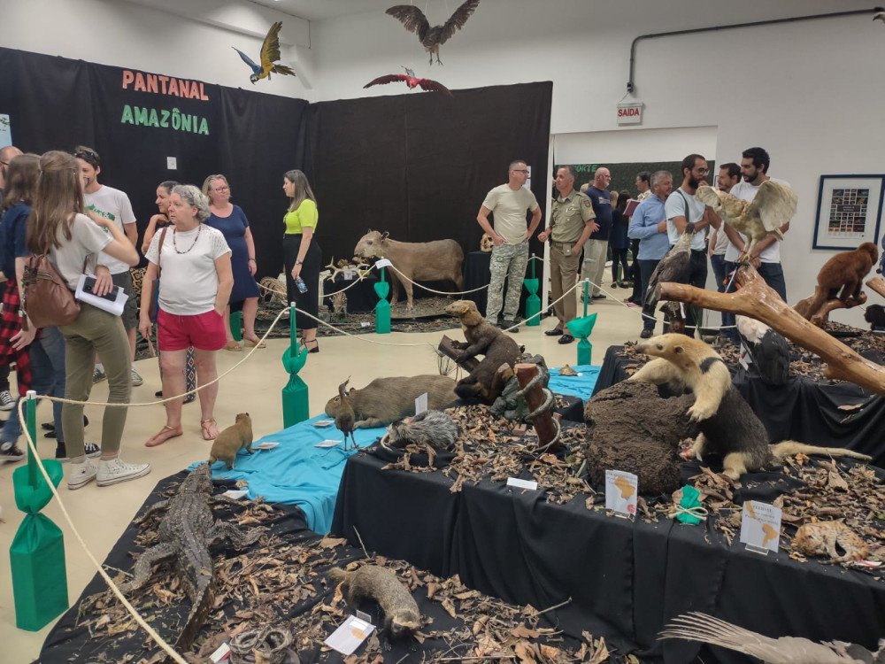 Biodiversidade brasileira é apresentada em nova exposição de Ciências Naturais aberta na Furb