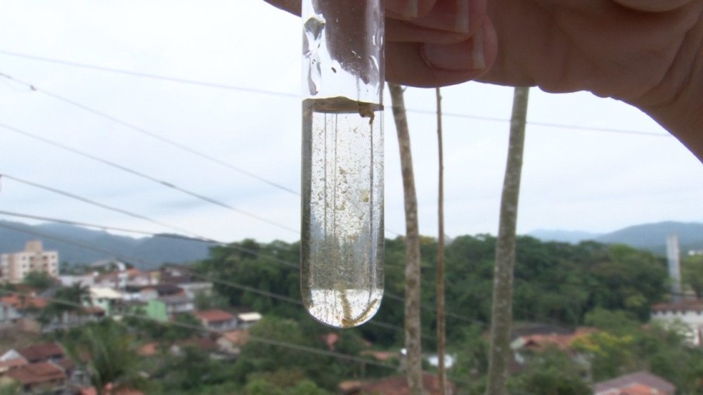 Sobe para 72 o número de casos confirmados de dengue em Blumenau