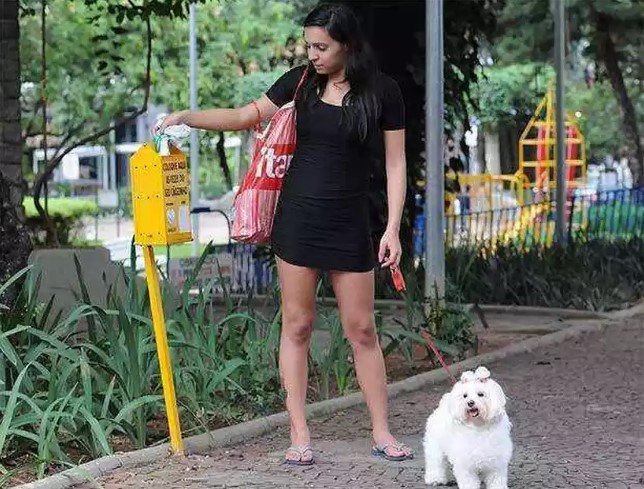 Vereadores aprovam parceria entre prefeitura e empresas para promover instalação de totens para dejetos de animais em Blumenau