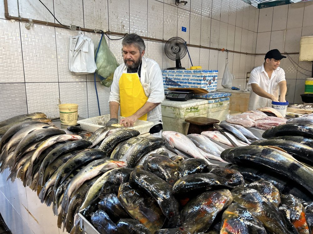 Operação Páscoa do Imetro-SC termina com mais de 33% do pescado reprovados no Estado