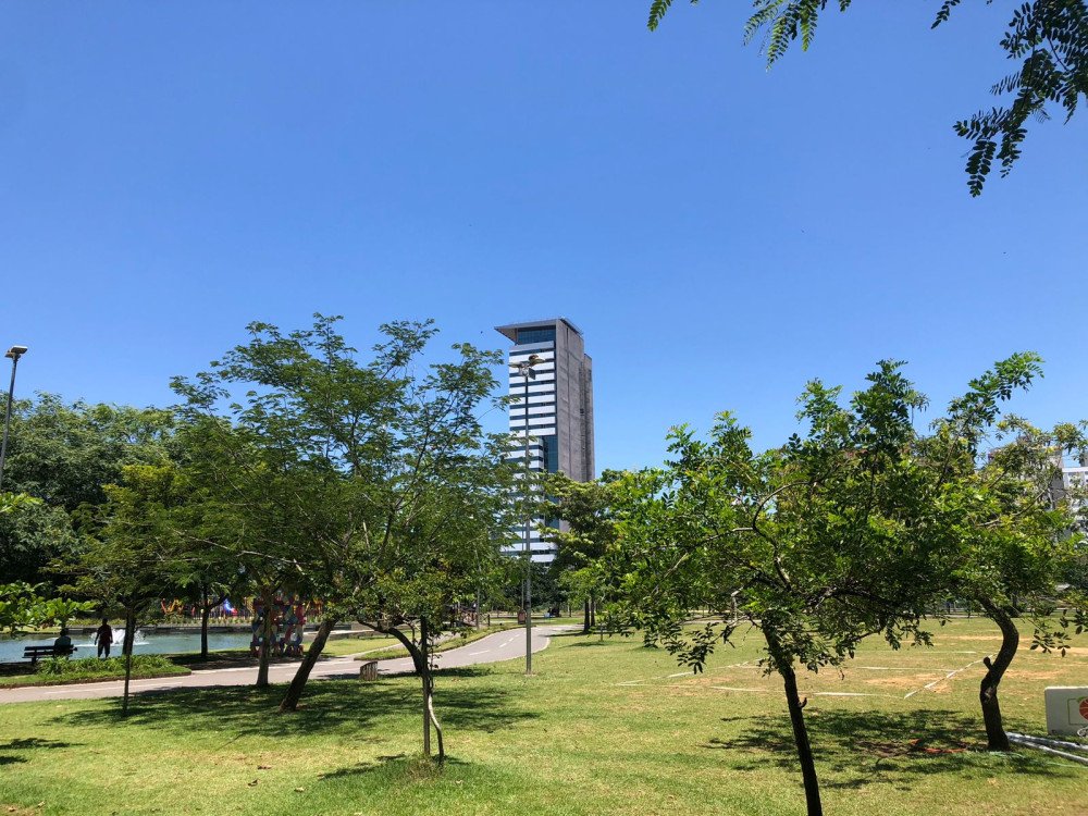 Sol predomina nesta quinta-feira em Blumenau; confira