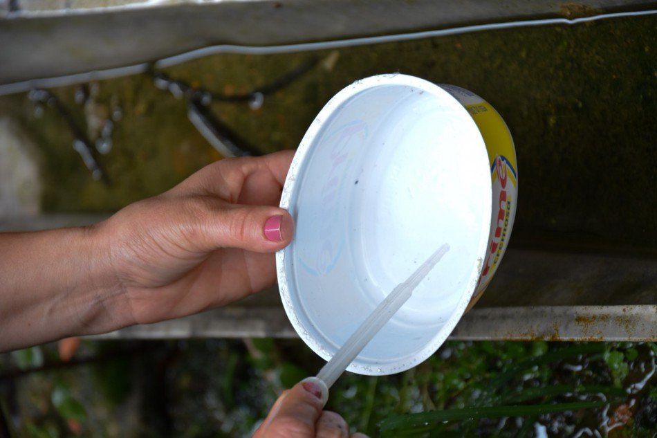 Cidades catarinenses começam a pedir recursos ao Estado para controle dos casos de Dengue