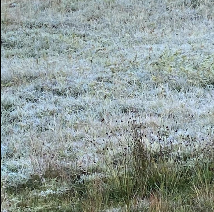 SC registra a temperatura mais baixa do ano e geada no amanhecer desta sexta