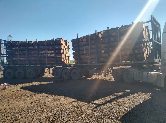 Caminhão é flagrado trafegando com 17 mil quilos de excesso de peso em rodovia catarinense