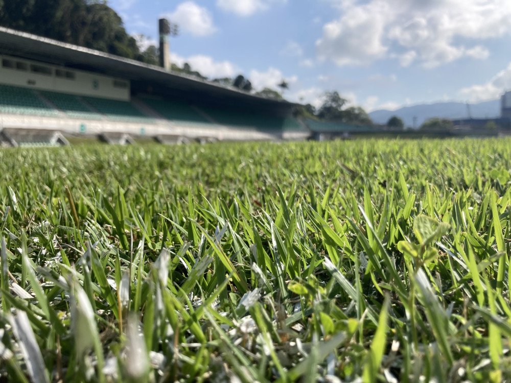 Esporte: Em busca de audiência. Por Emerson Luis