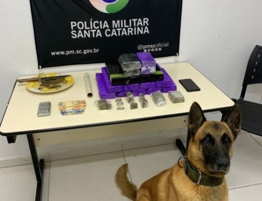 Polícia apreende 11kg de maconha em residência de Blumenau